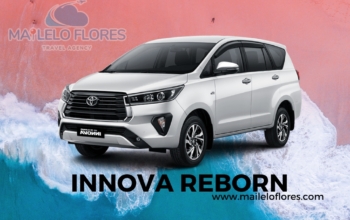 innova reborn