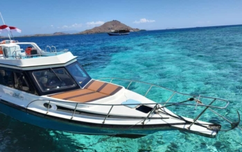 Komodo Tour Sharing Boat
