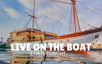 komodo tour 2 day 1 night